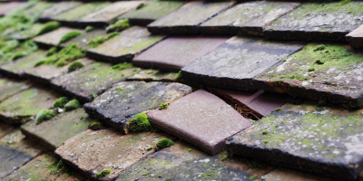 Southoe roof repair costs